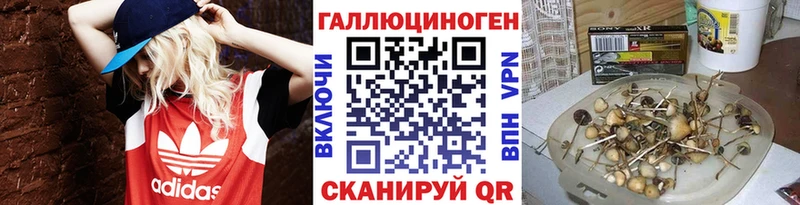 Псилоцибиновые грибы MAGIC MUSHROOMS  Королёв 